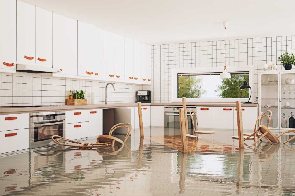 Water Restoration Marketing